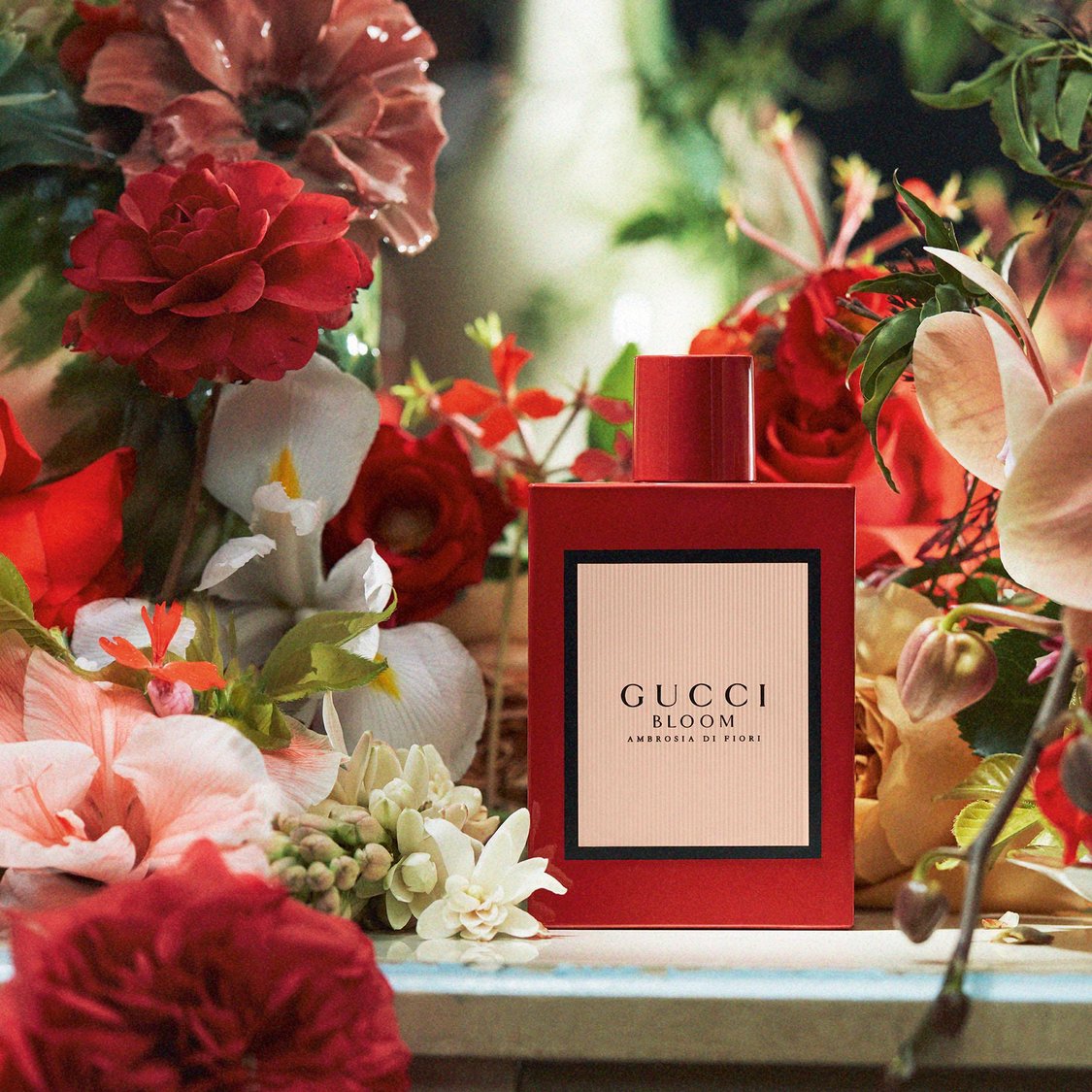 Gucci Bloom Ambrosia di Fiori 100ML EDP INTENSE