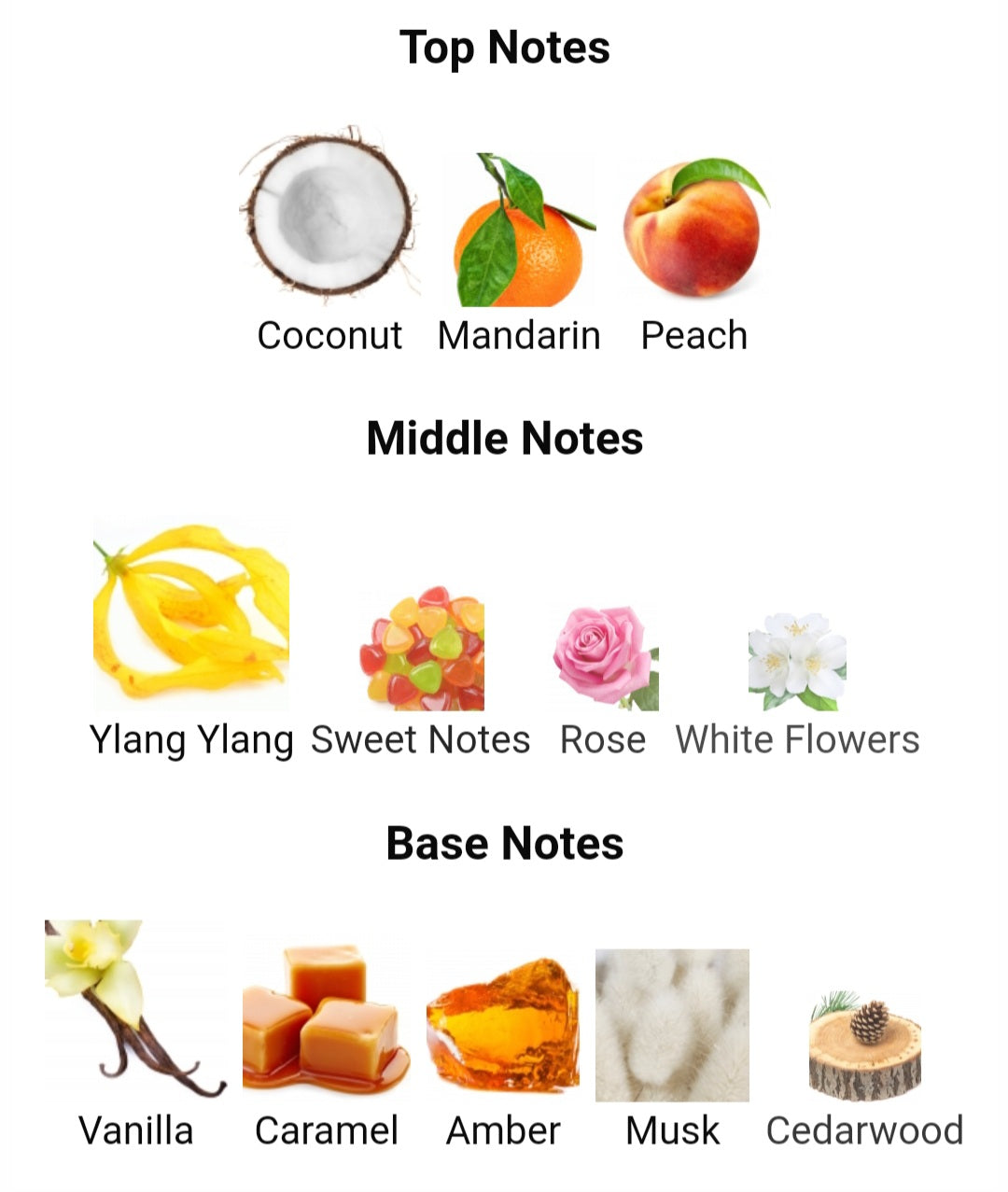 Fragrance World- Just Wardi - 100ML EDP