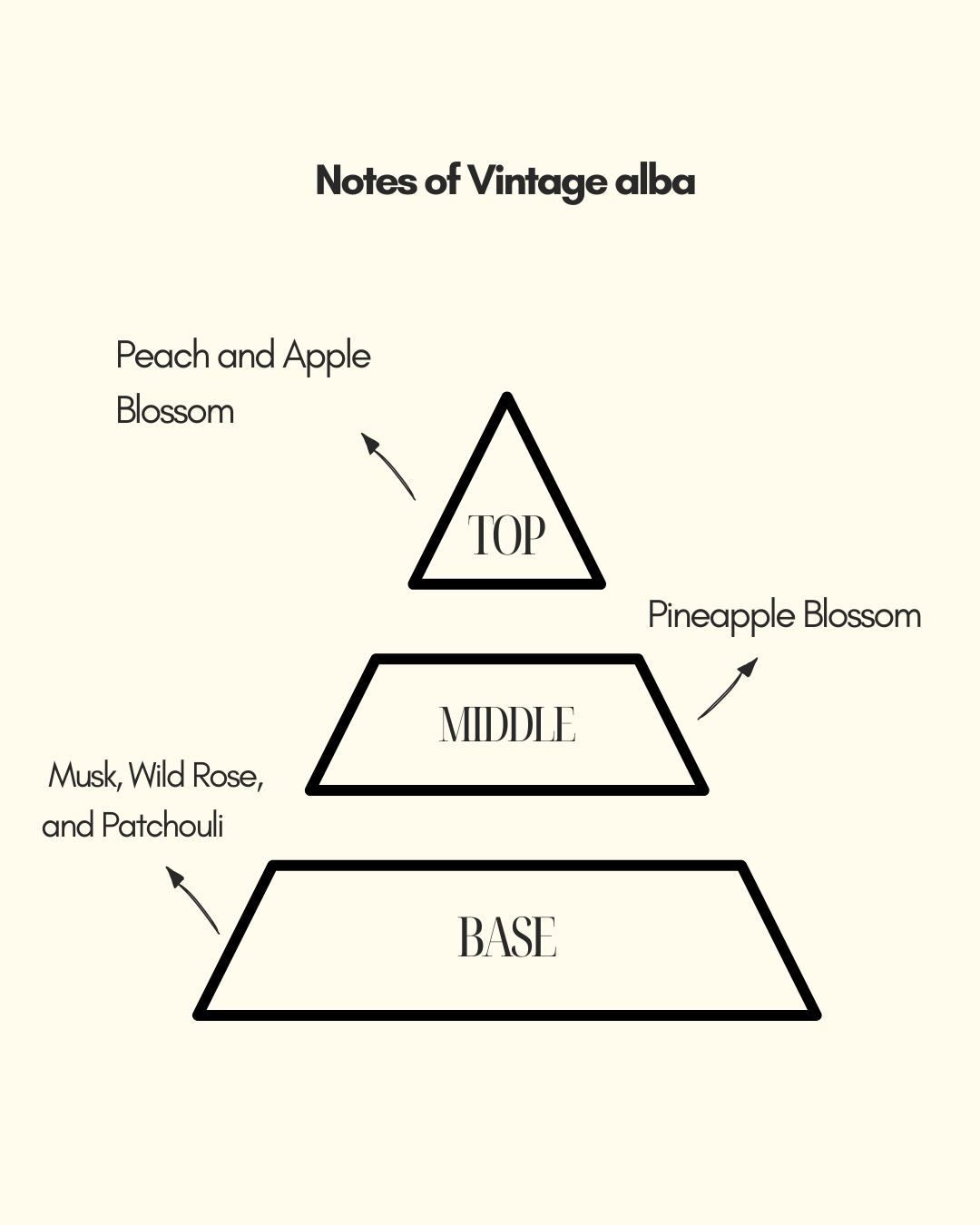 Qaani - Vintage Alba | Classic | Rose Made Muskyperfume | For Both Men And Women Perfumes