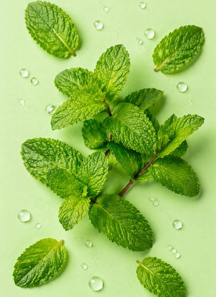 Mint