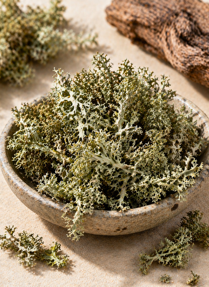 Oakmoss