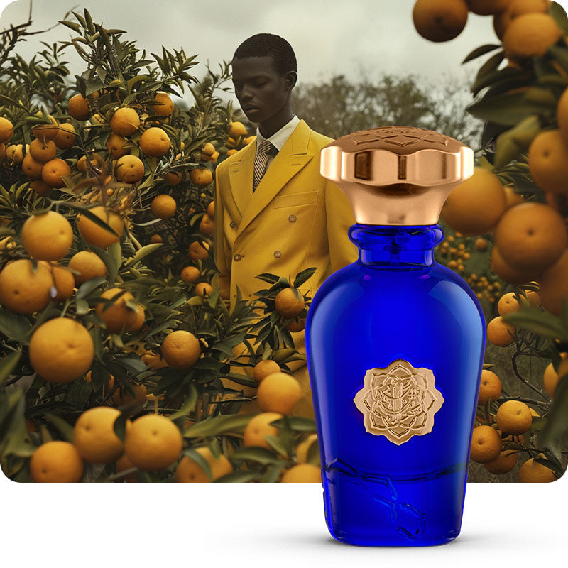 Albait Aldimashqi- Terre D'hermes 75ML EDP