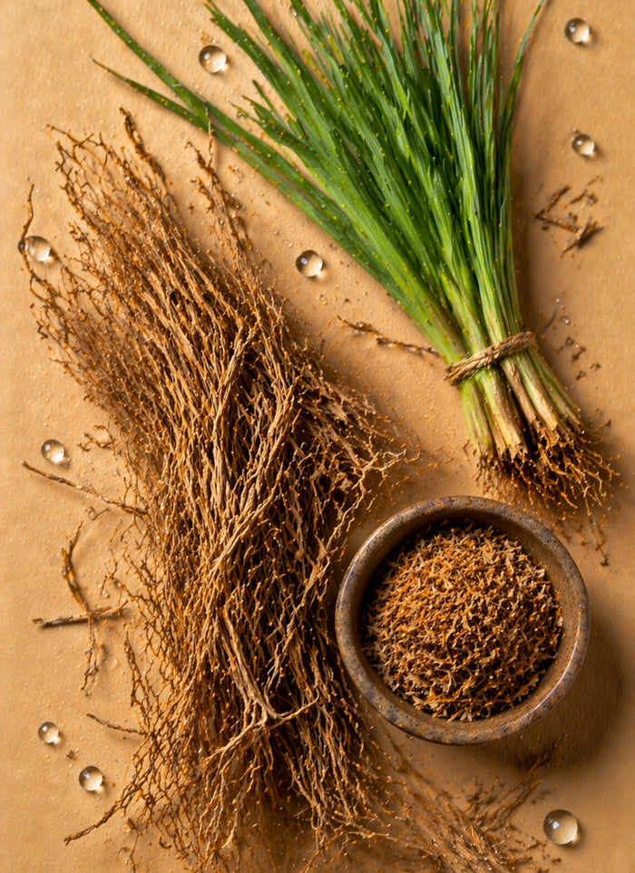 Vetiver