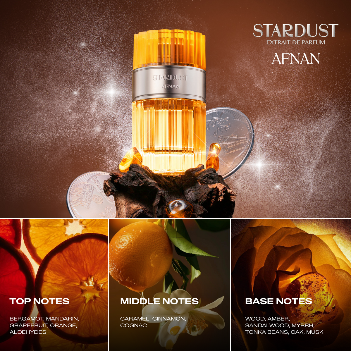 Afnan Stardust official fragrance notes