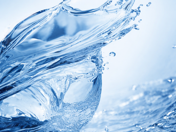 Aquatic