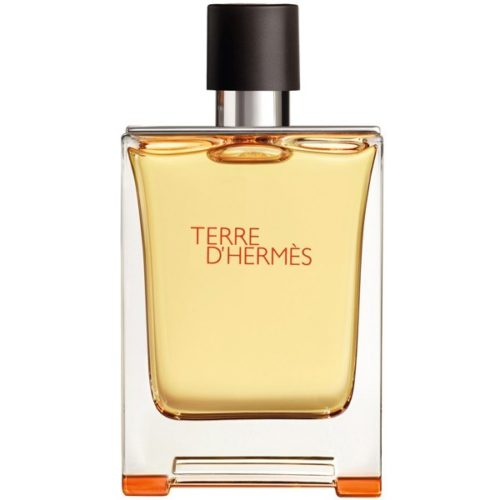 Hermès Terre D'Hermès EDT for Men - Main Image