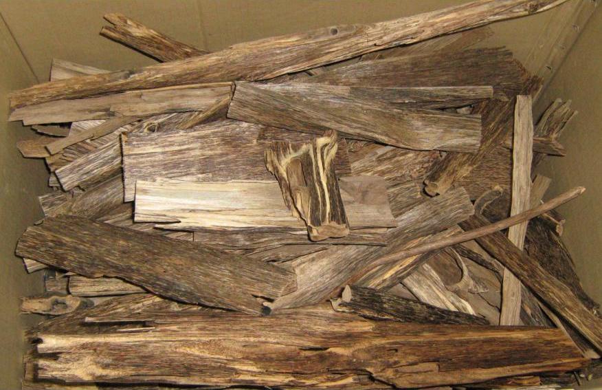 Irregular dark-brown wood pieces identified by the photographer as agarwood