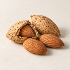 AI-generated representative illustration of almond for fragrance-note discovery