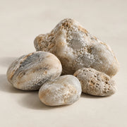 Ambergris