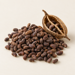 AI-generated representative illustration of ambrette seeds for fragrance-note discovery
