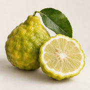 Bergamot
