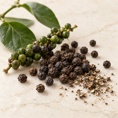 Illustration of black peppercorns and a fresh pepper vine representing the black pepper fragrance note