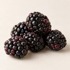 AI-generated representative illustration of blackberry for fragrance-note discovery