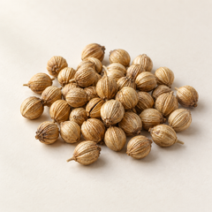 AI-generated representative illustration of coriander for fragrance-note discovery