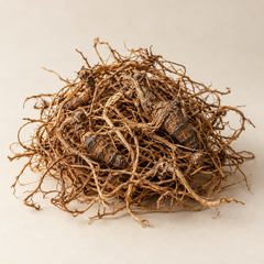 Representative cypriol imagery for fragrance-note discovery