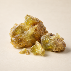Representative galbanum imagery for fragrance-note discovery