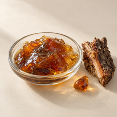 Representative gurjun balsam imagery for fragrance-note discovery