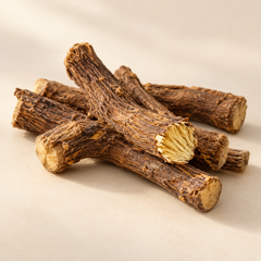 Representative several dried liquorice root sticks, one freshly cut end showing yellow fibrous interior imagery for fragrance-note discovery