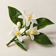 Neroli
