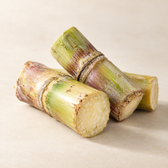 Representative sugarcane imagery for fragrance-note discovery