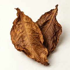Tobacco leaves representing the tobacco fragrance note
