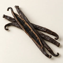Vanilla pods representing the vanilla fragrance note
