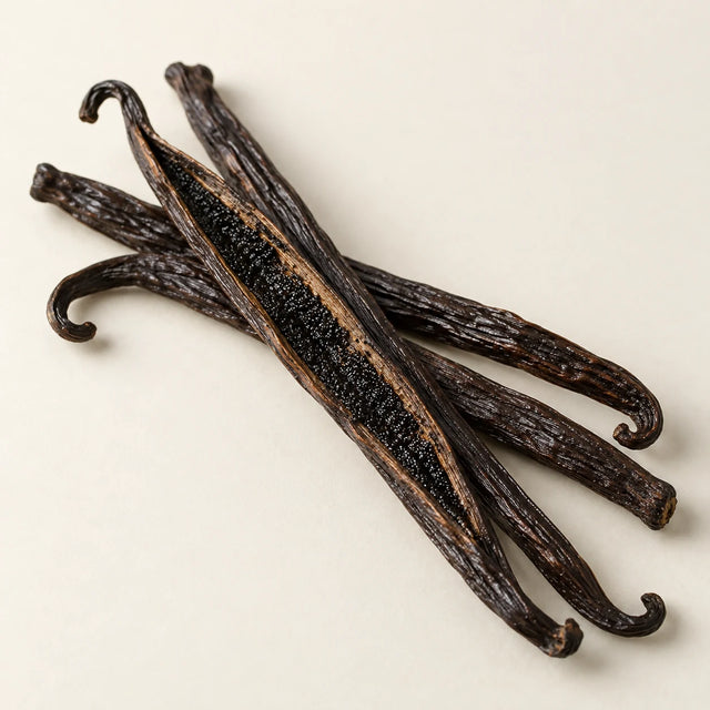 Illustration representing Vanilla