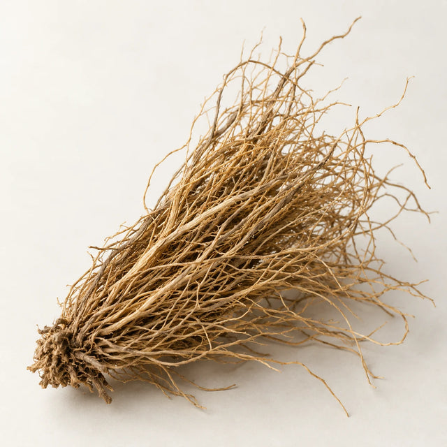 Illustration representing Vetiver