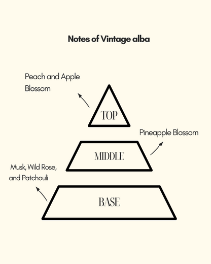 Qaani - Vintage Alba | Classic | Rose Made Muskyperfume | For Both Men And Women Perfumes
