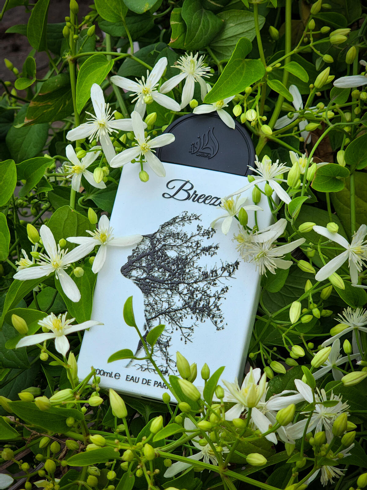 Lattafa Pride Breeze 100ml edp