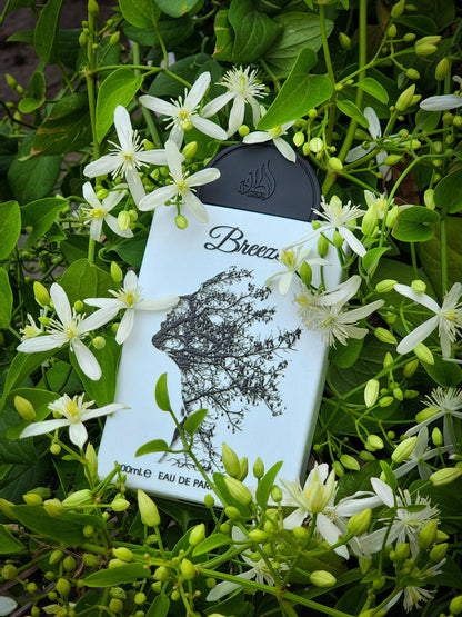 Lattafa Pride Breeze 100ml edp