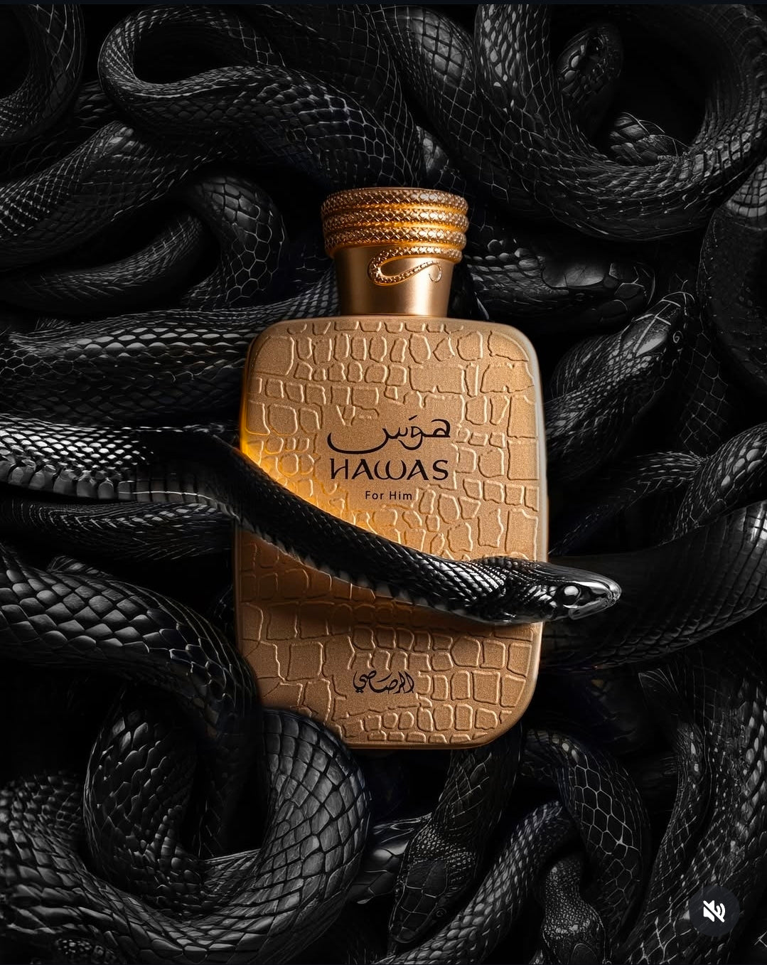 Hawas Viper For Him 100ML EDP – MOM PERFUMES